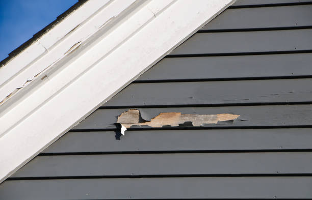 Professional Siding Installation in Patterson Tract, CA